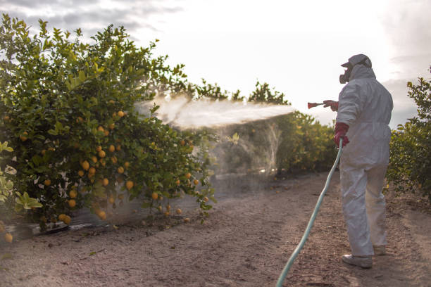 Best Affordable Exterminators  in Fayetteville, TN