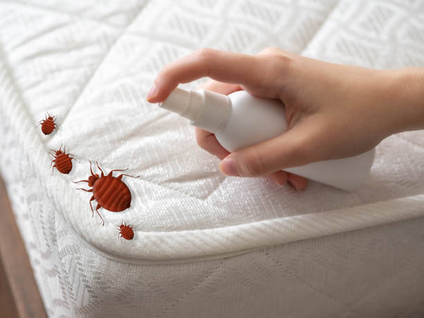 Best Emergency Pest Control  in Fayetteville, TN
