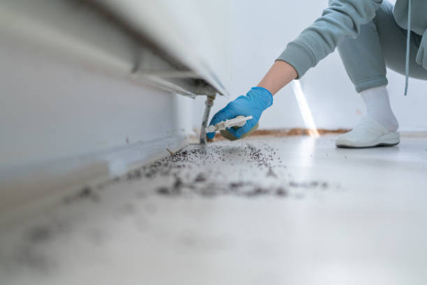 Best Local Pest Control Services  in Fayetteville, TN