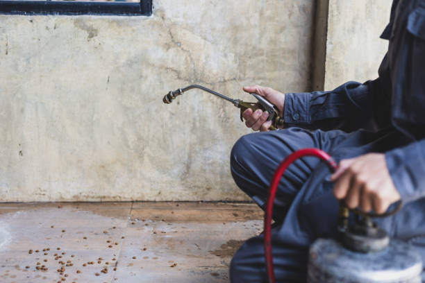Best Rat Extermination Near Me  in Fayetteville, TN