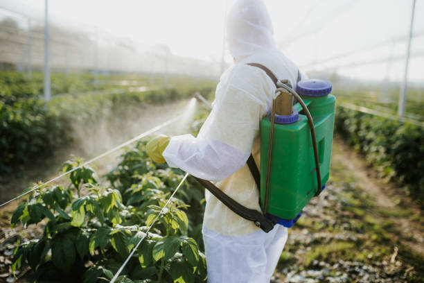Best Bed Bug Extermination  in Fayetteville, TN